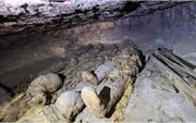 کشف ۳۰ مقبره با مومیایی‌های خانوادگی