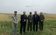ضرورت انجام مطالعات پایه و تعیین نیاز آبی تالاب ها در آذربایجان شرقی