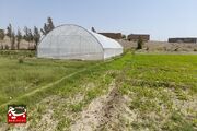 ایجاد اشتغال برای روستائیان با احداث گلخانه های خانگی در سیستان وبلوچستان