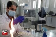 راه‌اندازی بزرگترین شبکه آزمایشگاهی کشور در مشهد