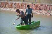 آغاز صید ماهی از استخرهای دو منظوره کشاورزی در آذربایجان شرقی