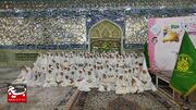 جشن تکلیف ۱۵۰ دختر شهید مدافع حرم در قم برگزار شد