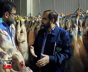۹۲ گروه دامپزشکی در خوزستان بر عرضه و ذبح بهداشتی و شرعی دام در عید سعید قربان نظارت می‌کنند