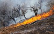 آتش سوزی گسترده در مراتع شهر پاوه کرمانشاه /آتش “سردره” پاوه مهار شد