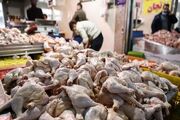 کاهش قیمت مرغ تا 2 هفته آینده