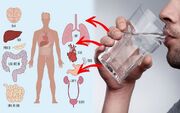 پنج فایده نوشیدن آب گرم