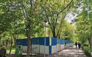علت حصارکشی در پارک لاله