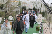 جشن ازدواج آسان ۲۲۰ زوج تحت پوشش بهزیستی بوشهر با حضور رئیس قوه قضاییه