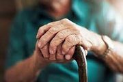 سپیددشت [] طرح آگاهسازی پیشگیری از معلولیت های دوران سالمندی در سپیدشت برگزار شد