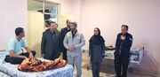 گزارش تصویری| مدیرکل بهزیستی استان زنجان از مرکز توانبخشی، مراقبتی بیماران اعصاب و روان حکیم بازدید کرد
