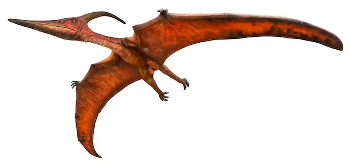 همکاری‌ دانشمندان چینی و برزیلی در حوزه دیرینه‌شناسی