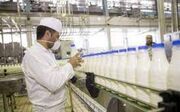 ۱۳۷ هزار تن شیر در واحدهای دامی استان قزوین تولید شد