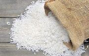 مختاریانی: بدون حمایت دولت نمی‌توانیم بازار برنج را مدیریت کنیم