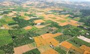 واگذاری بیش از ۱۹ هزار هکتار از اراضی ملی و دولتی برای اجرای طرح‌های کشاورزی و غیرکشاورزی