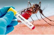 چند مورد ابتلا به بیماری تب دانگ در کشور مشاهده شده است؟