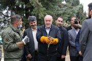 پیام استاندار تهران به مناسبت گرامیداشت هفته ملی محیط زیست