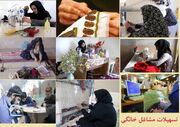 پرداخت بیش از ۷۵ میلیارد تسهیلات مشاغل خانگی طی سال ۱۴۰۲  در خوزستان