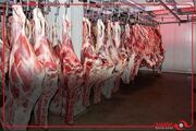 قیمت گوشت قرمز با اختصاص یارانه تعدیل می‌شود