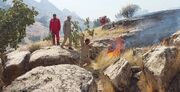 مهار آتش مهیب و گسترده جنگل‌های کوه لار باشت