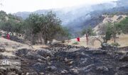 برای ۶ عامل آتش‌سوزی‌های اخیر جنگل‌های کهگیلویه پرونده قضایی تشکیل شد