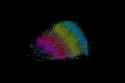 رونمایی دانشمندان دانشگاه هاروارد و گوگل از مفصل‌ترین نقشه مغز انسان