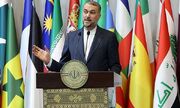 وزیر امور خارجه: شورای امنیت در توقف حملات علیه غزه هیچ‌گونه اقدام مؤثری نداشته است