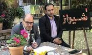 برنامه های هفته نکوداشت شیراز اعلام شد