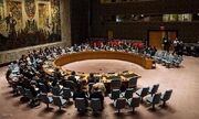 برگزاری جلسه اضطراری شورای امنیت برای حمله «اسرائیل» به رفح