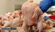 ارگان رسانه‌ای نزدیک به سپاه: مقصر اصلی قیمت‌های نامتعارف در بازار مرغ، حذف ارز ترجیحی است