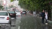 عضو شورای شهر تهران: در زمان بارندگی، کرایه تاکسی‌ها ۱۰ تا ۱۵ درصد افزایش می‌یابد