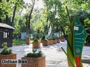 رابطه ساخت مسجد در پارک قیطریه تهران و آثار باستانی ارزشمند چیست؟