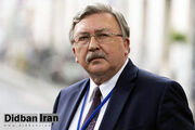 تحلیل متفاوت اولیانوف از پاسخ ایران به تجاوز اسرائیل