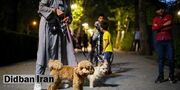 شهرداری تهران: ورود حیوانات خانگی به بوستان‌ها ممنوع است