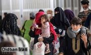 افزایش ۷۰ درصدی تعداد تولدها از مادران غیر ایرانی در ۴ سال