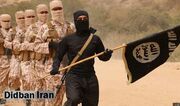 نیویورک‌تایمز: نصف اعضای داعش خراسان اتباع تاجیکستان هستند