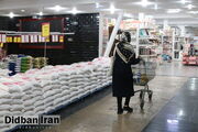 پشت پرده جهش قیمت برنج ایرانی/ پای دلار در میان است؟