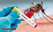 دانشگاه علوم پزشکی شیراز: وضعیت تب دانگی در فارس نگران کننده است / ۲فوتی ثبت شد