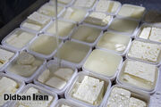 چند نوع پنیر در ایران وجود دارد؟