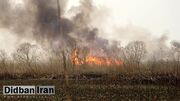 آغاز آتش‌سوزی در بخش عراقی هورالعظیم از ۱۰ روز پیش