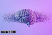 آخرین حسی که قبل از مرگ از دست می‌رود، کدام است؟