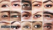 رایج‌ترین رنگ چشم در سراسر جهان چیست؟
