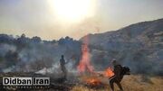 فرماندار کهگیلویه: دامنه آتش منطقه حفاظت شده خائیز در حال گسترش است
