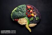 حفظ سلامت مغز با این مواد غذایی