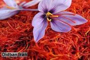 زعفران واقعا شادی‌آور است؟