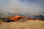 اطلاعیه محیط زیست خوزستان نسبت به سوزاندن بقایای مزارع کشاورزی