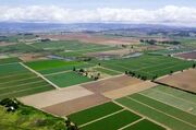 ساماندهی مالکیت و آمایش سرزمین از خرد شدن اراضی کشاورزی جلوگیری می‌کند