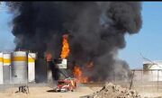 مهار آتش سوزی در منطقه ویژه بیرجند ادامه دارد+ تصویر