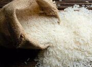 برنج و روغن به لیست کالاهای مشمول ارز ترجیحی برگشت