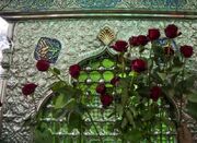 جشن میلاد امام رئوف در شاهچراغ برگزار می‌شود