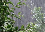 احتمال رگبار باران و رعد و برق در مناطق غربی و شمالی کشور